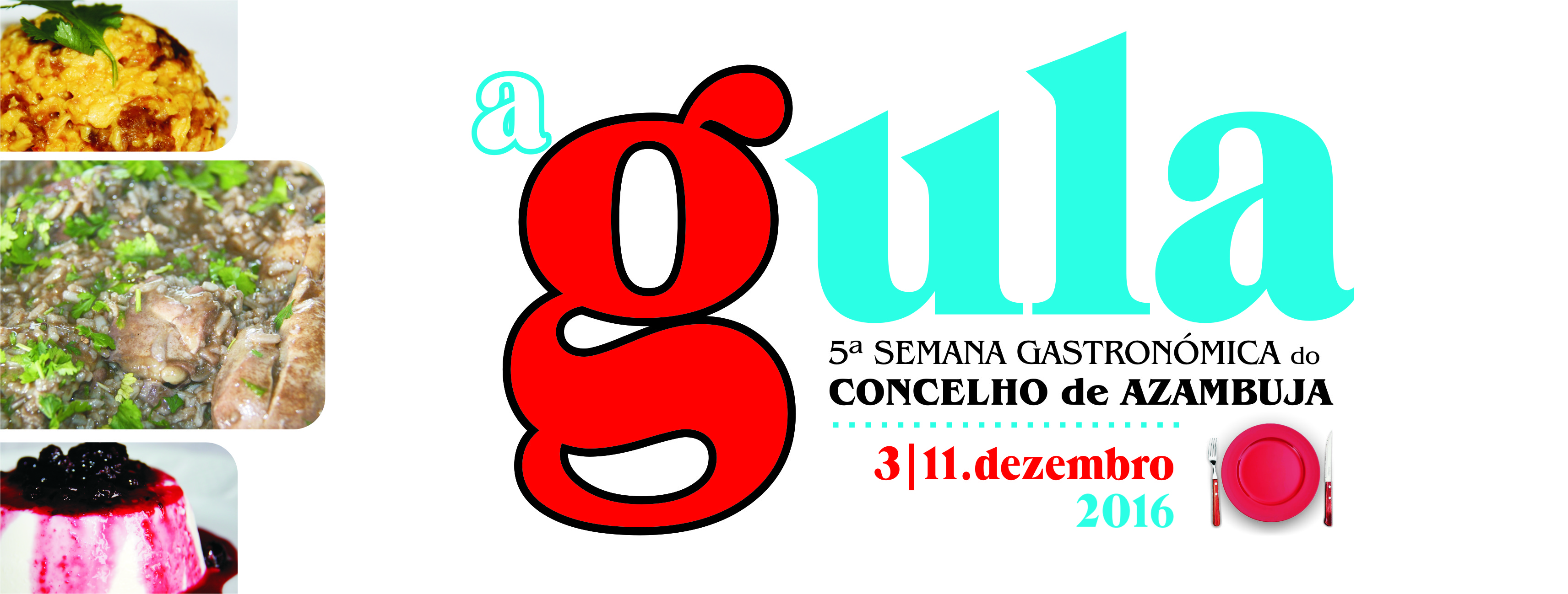 2016.12.03 A Gula banner facebook