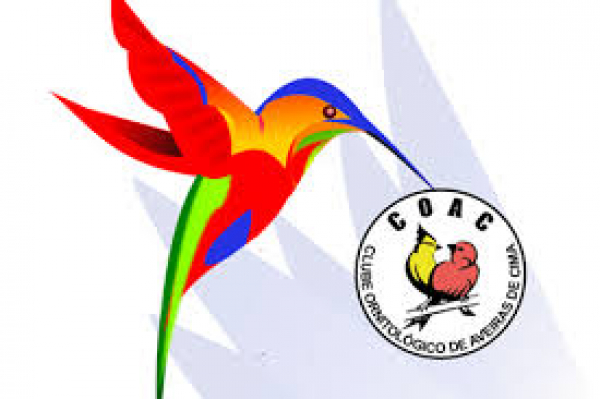 COAC - Clube Ornitológico