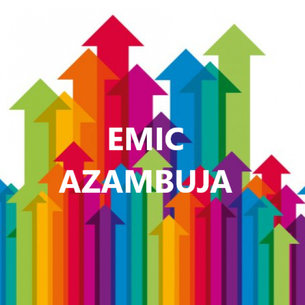 EMIC - Equipa Multidisciplinar de Intervenção Comunitária